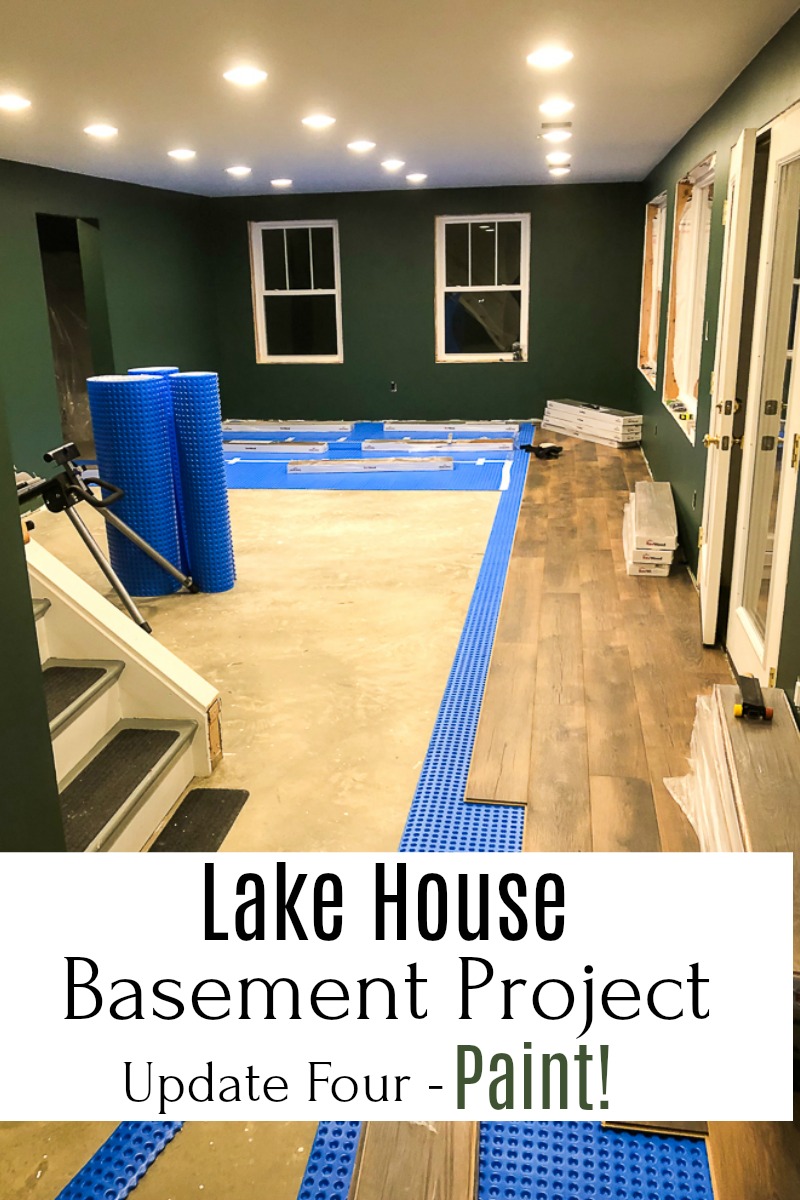 Lake House Basement Project - Update Four - Paint