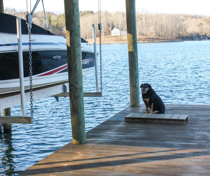 Sherman Skulina wants to go boating at Smith Mountain Lake