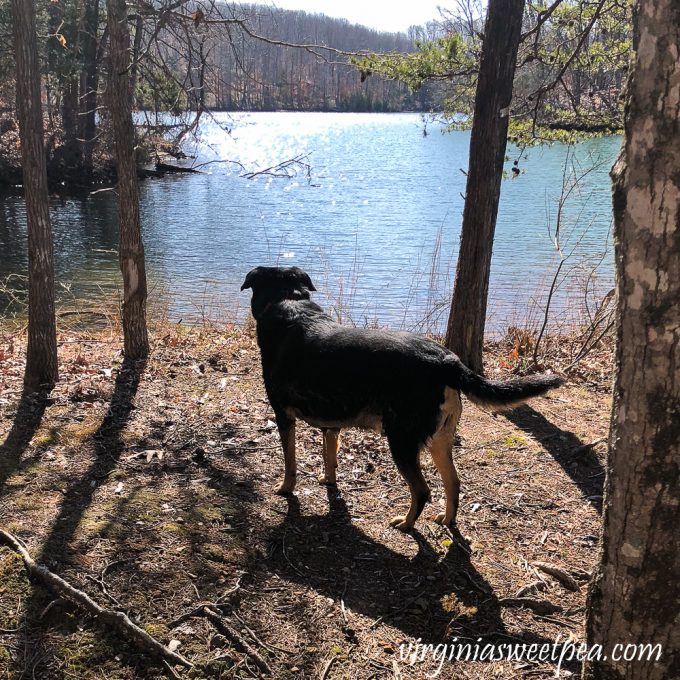 Sherman Skulina at Smith Mountain Lake State Park