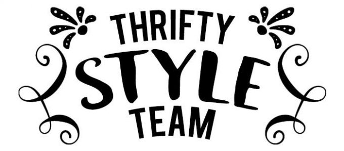 Thrifty Style Team Graphic