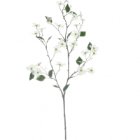 White Mini Dogwood Stem by Ashland®