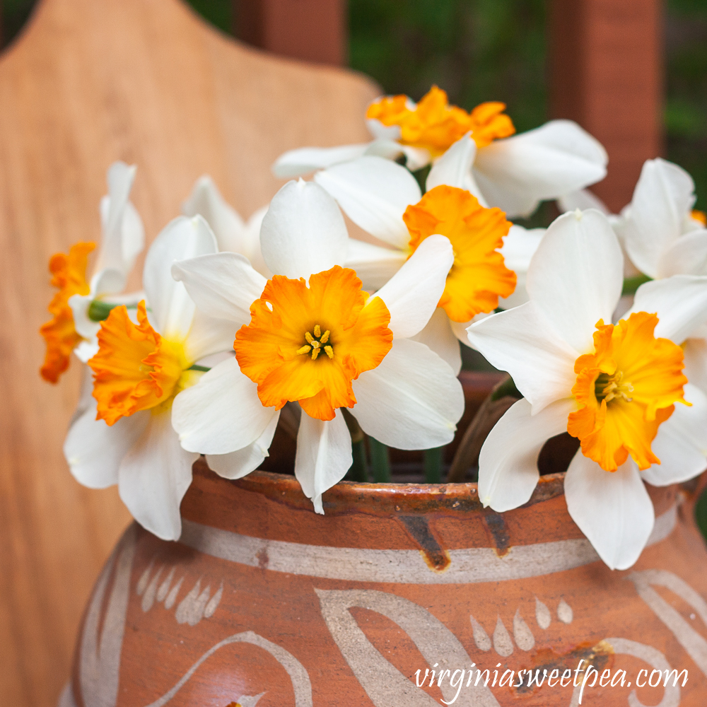 Spring Daffodils in handmade pottery jug