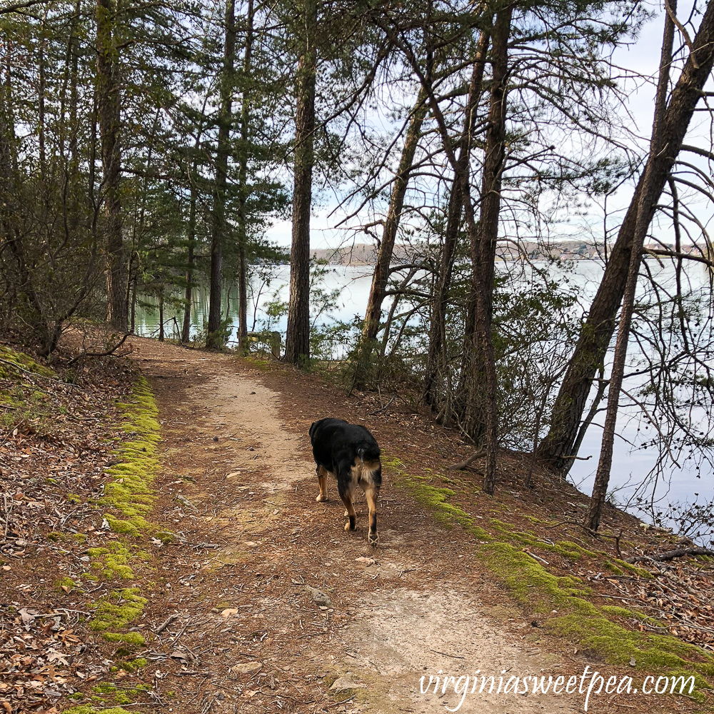 Sherman Skulina walking at Smith Mountain Lake State Park