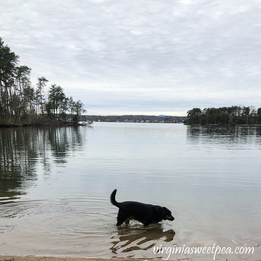 Sherman Skulina at Smith Mountain Lake State Park