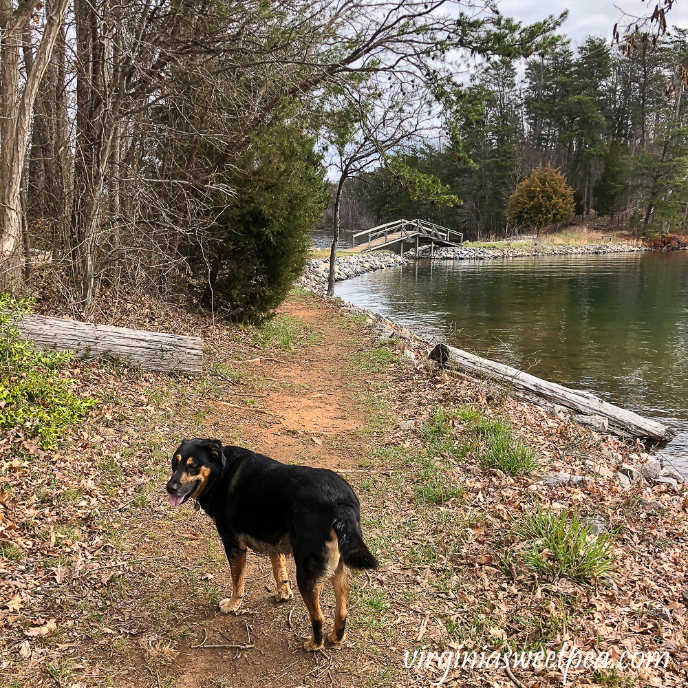 Sherman Skulina on Turtle Island at Smith Mountain Lake State Park