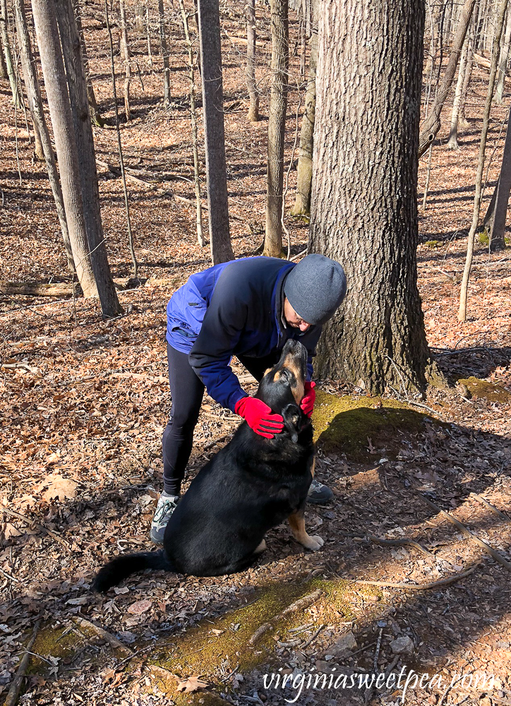 Hiking in Smith Mountain Lake State Park