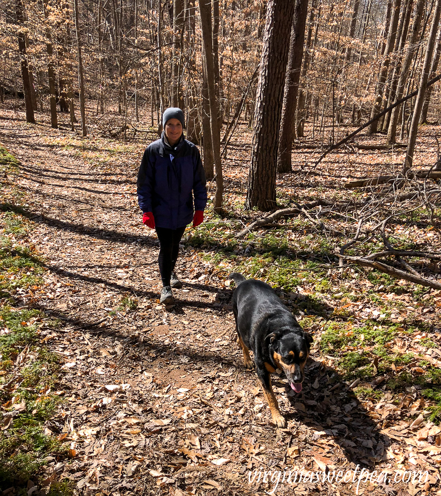 Hiking in Smith Mountain Lake State Park