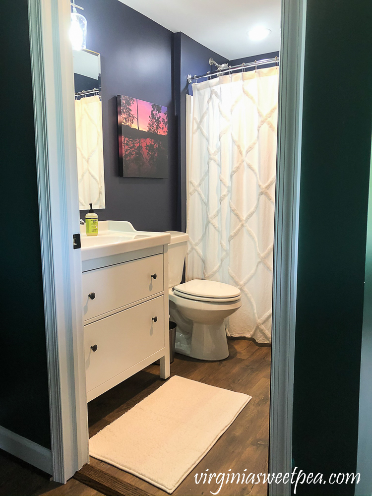 Lake House Basement Bathroom