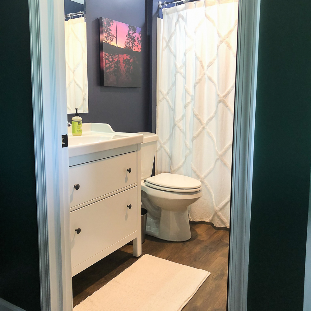 Lake House Basement Bathroom Reveal - Sweet Pea