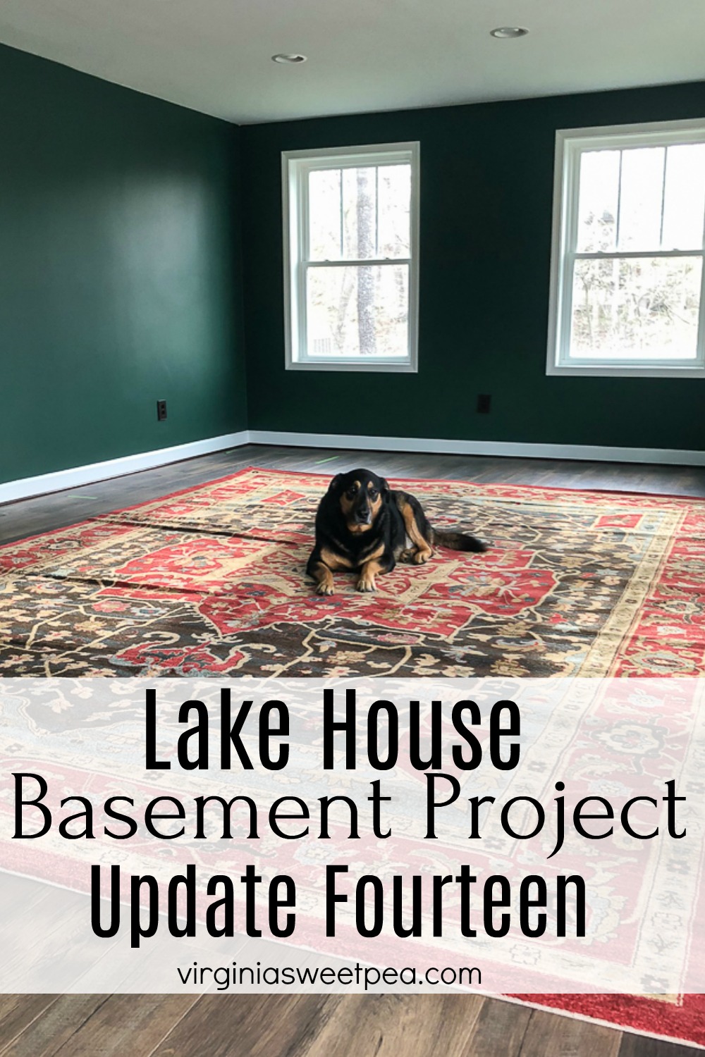 Lake House Basement Project - Update Fourteen