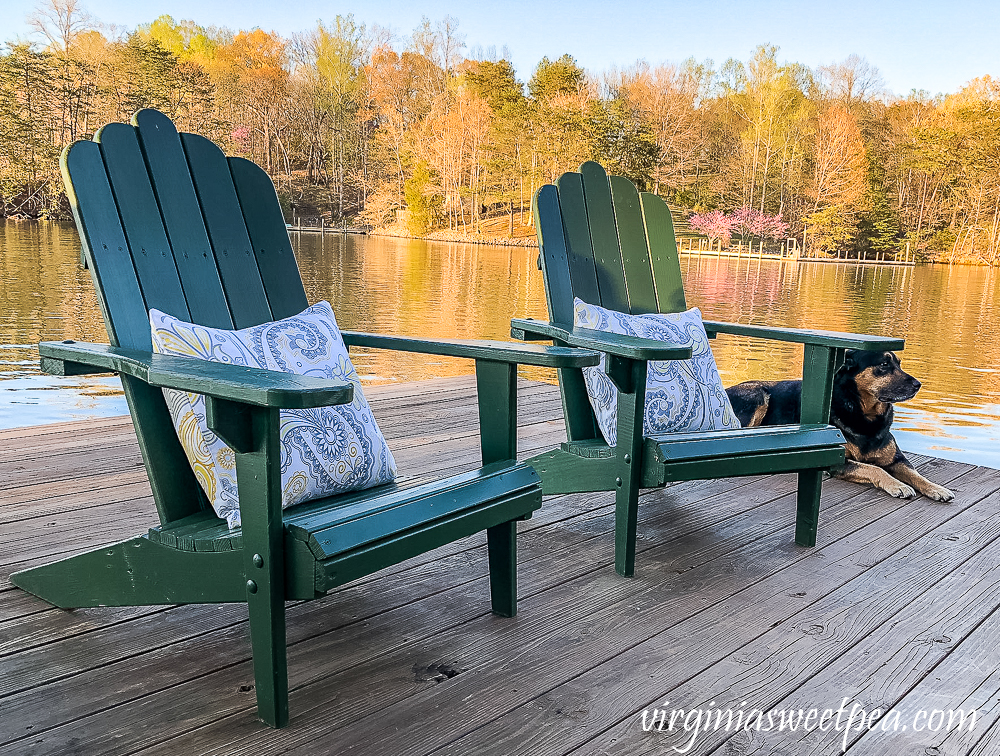 Two adirondack chairs on a dock with pillows and a dog