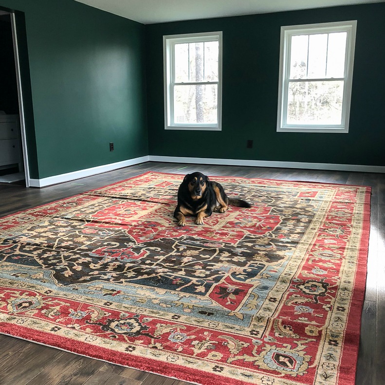 Sherman Skulina on Wayfair Rug at Smith Mountain Lake