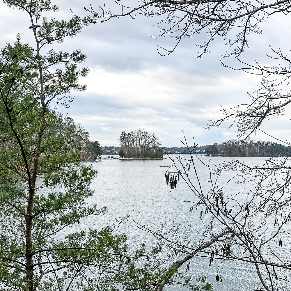 Turtle Island at Smith Mountain Lake State Park in Virginia