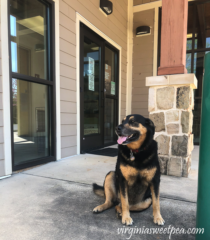 Sherman Skulina at Smith Mountain Lake State Park