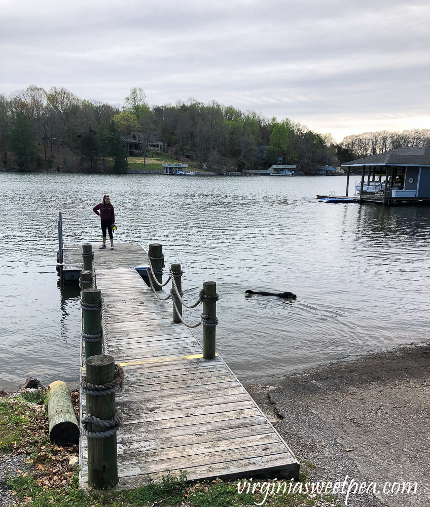 Sherman Skulina swimming in Smith Mountain Lake