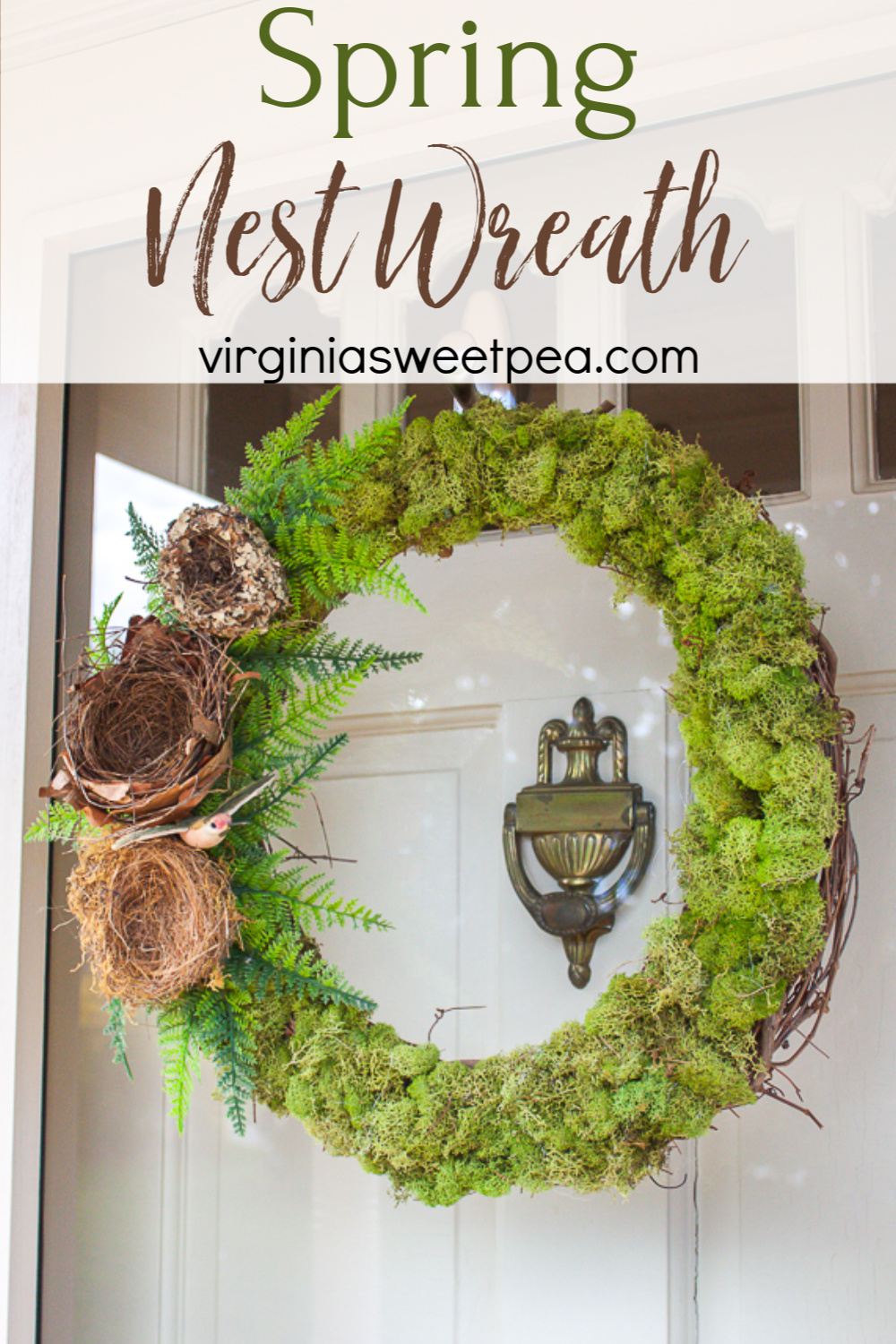 Wreath covered in moss with three nests, ferns, and a hummingbird on the side.