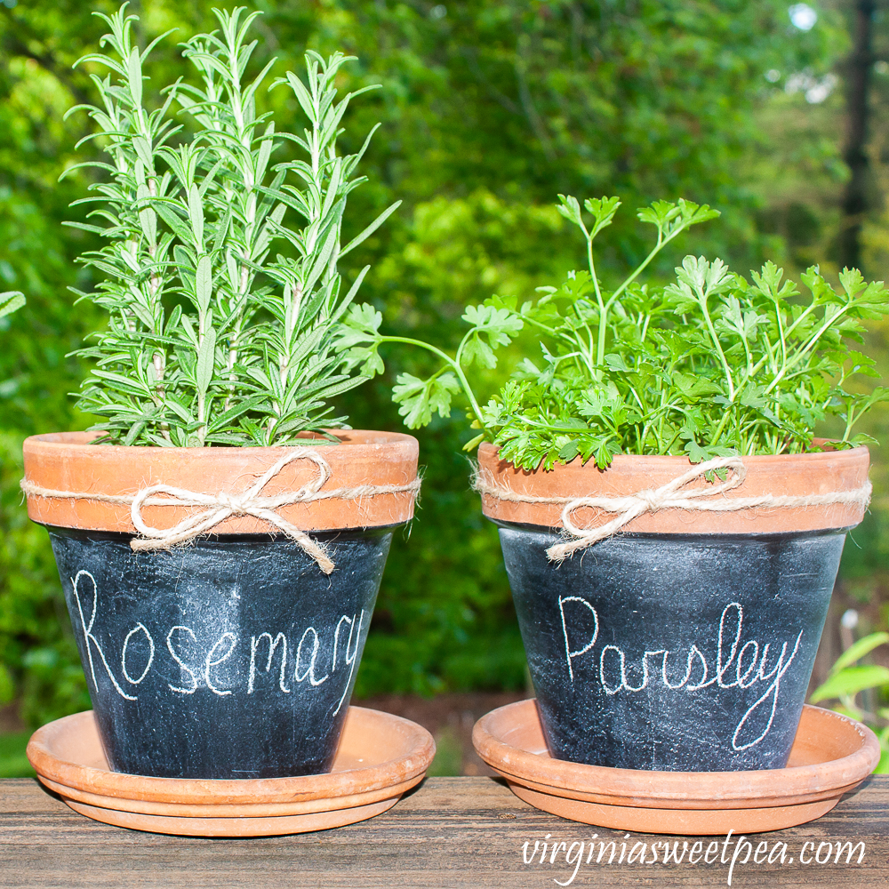 Chalkboard painted pots with rosemary and parsley