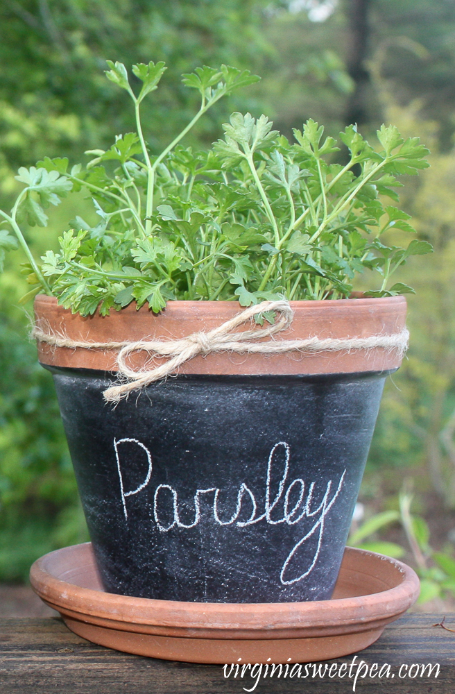 Chalkboard painted pot labeled with Parsley