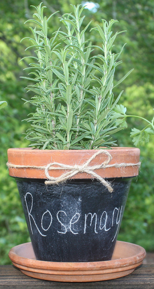 Chalkboard painted pot labeled with rosemary