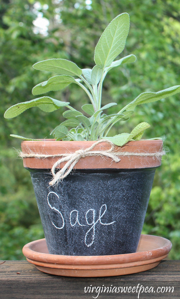 Chalkboard painted pot labeled with Sage