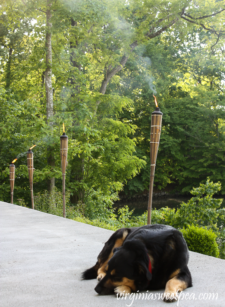 Sherman Skulina relaxing on a patio with Tiki torches