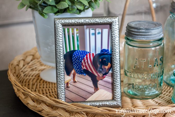 picture of a dog in an Uncle Sam costume with atlas strong arm mason jar