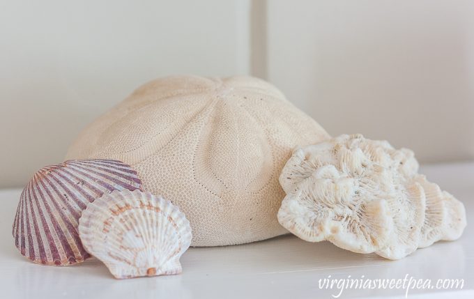 Coral, scallop shells, and a sea biscuit on a coastal themed summer mantel.