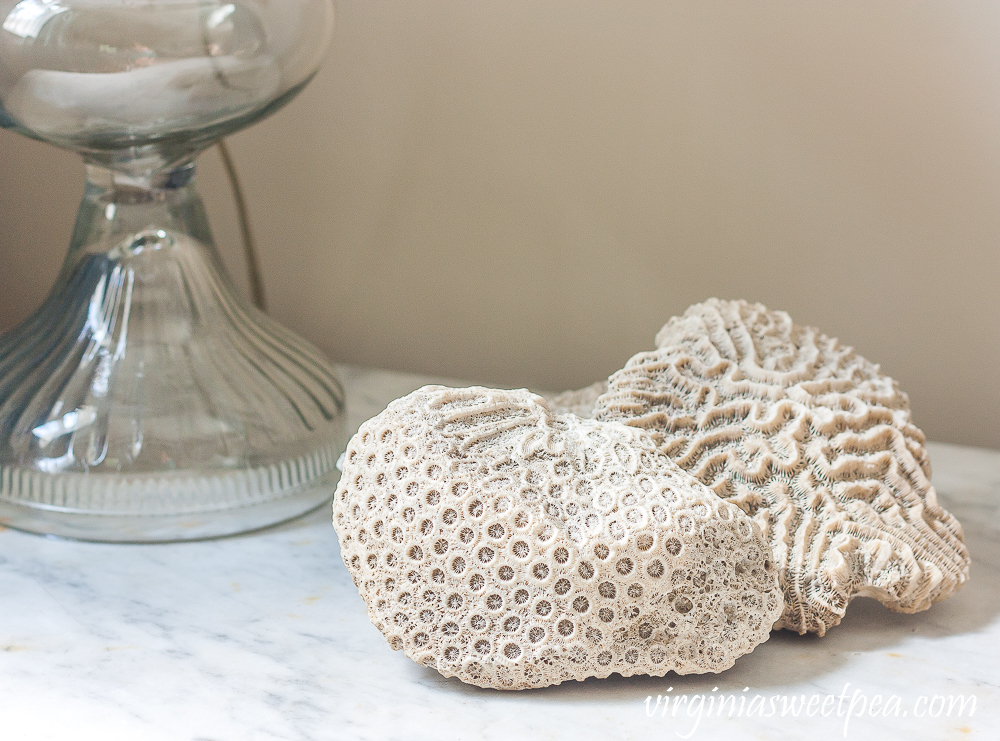 Coral used for summer decor