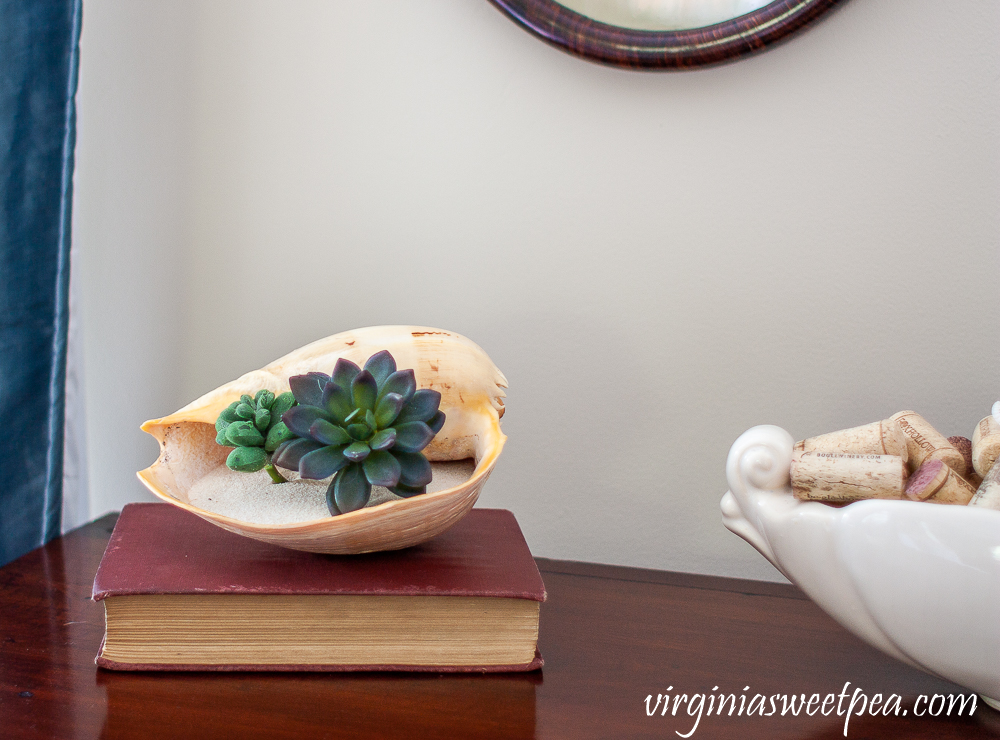 Shell filled with sand and succulents on top of a book