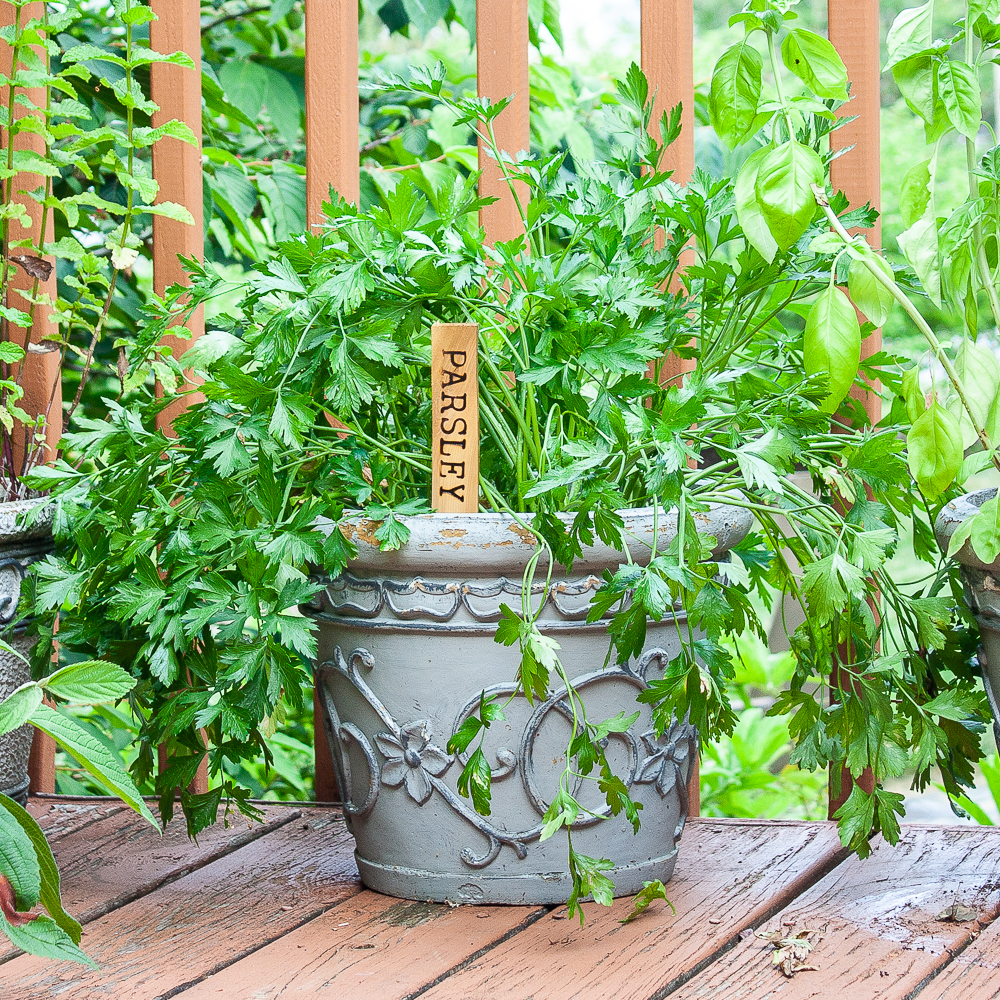 DIY Wood Burned Plant Markers