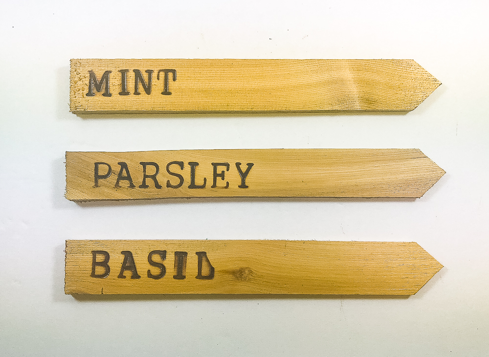 Plant markers made by wood burning plant names on wood shims.