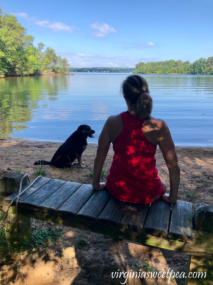 Dog and woman admiring a lake