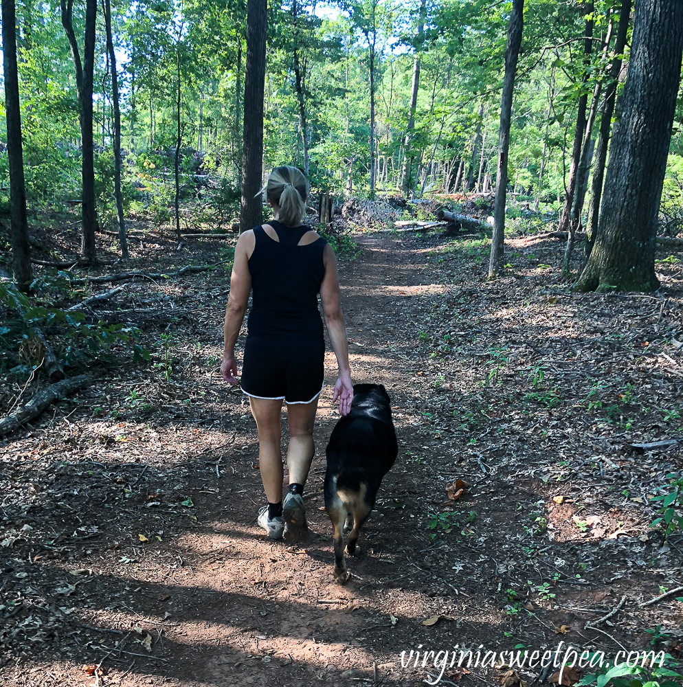 Hiking with Sherman Skulina in Smith Mountain Lake State Park