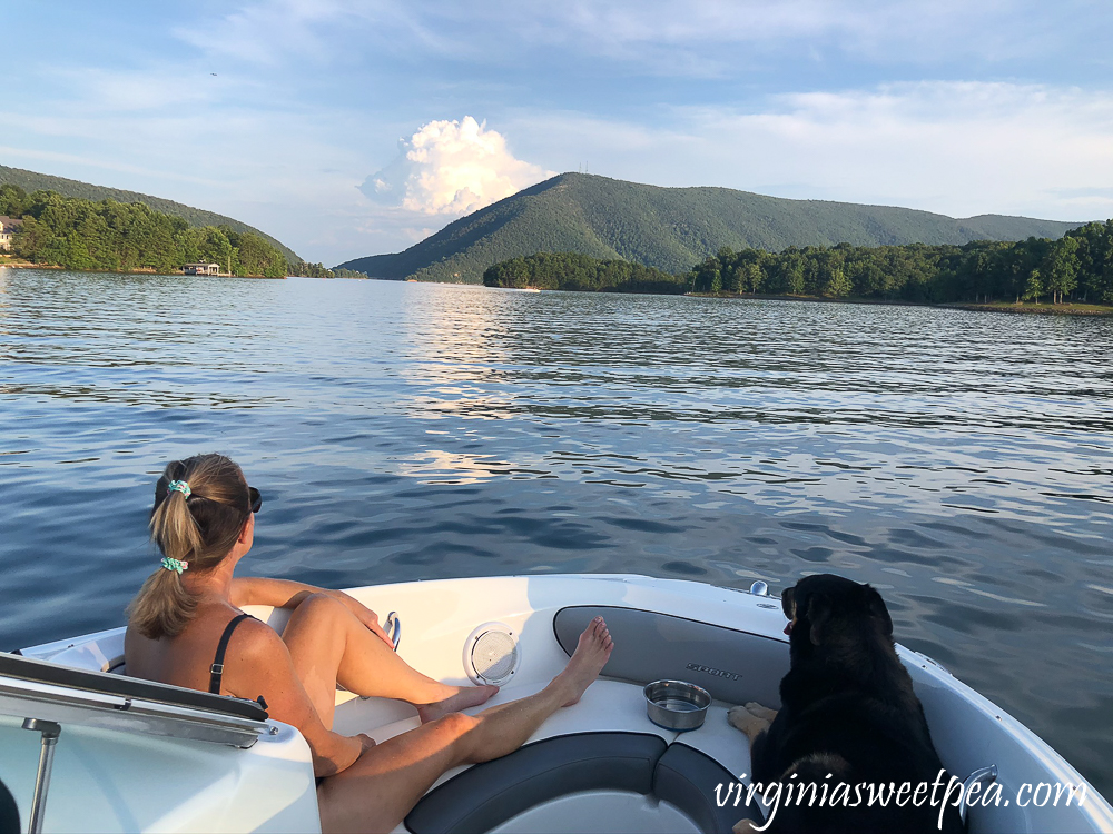 Dog and woman on a boat at Smith Mountain Lake, VA.