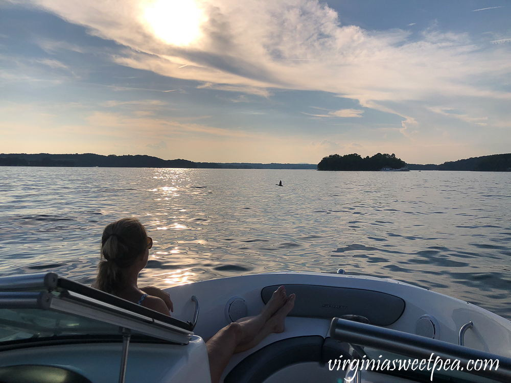 Boating at Smith Mountain Lake, VA