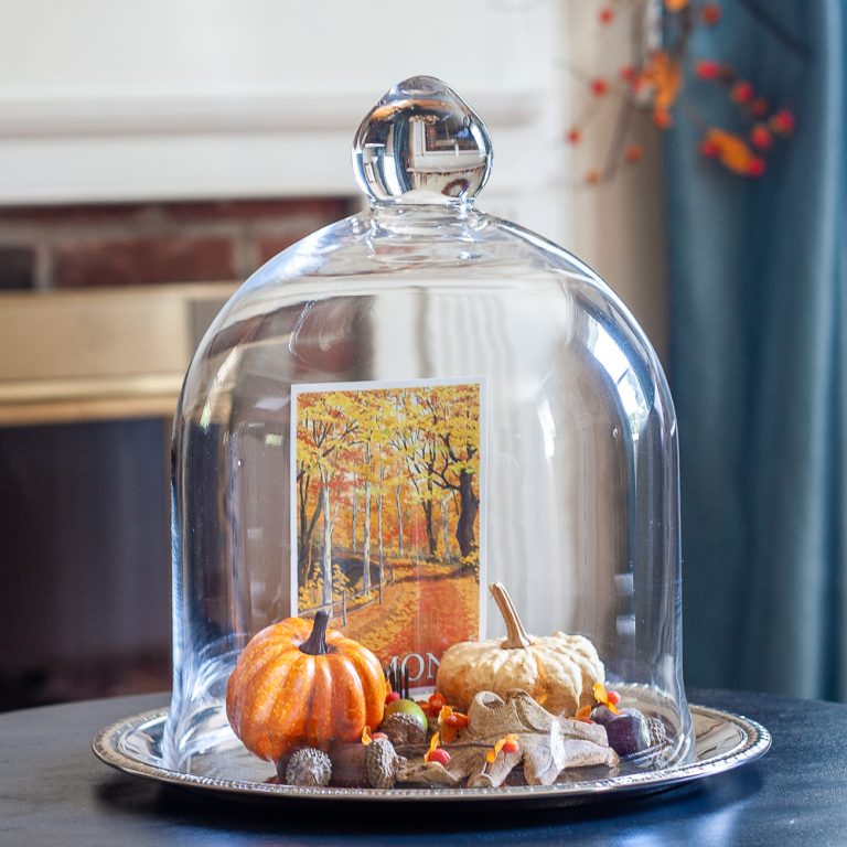 Fall Decorating Ideas for a Cloche