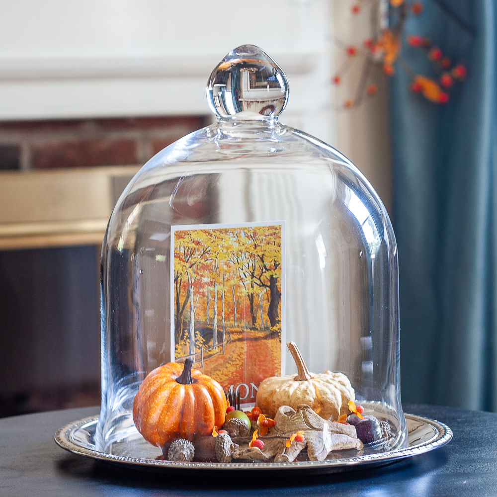 Cloche on a silver tray decorated for fall with pumpkins, a fall postcard, leaves and acorns