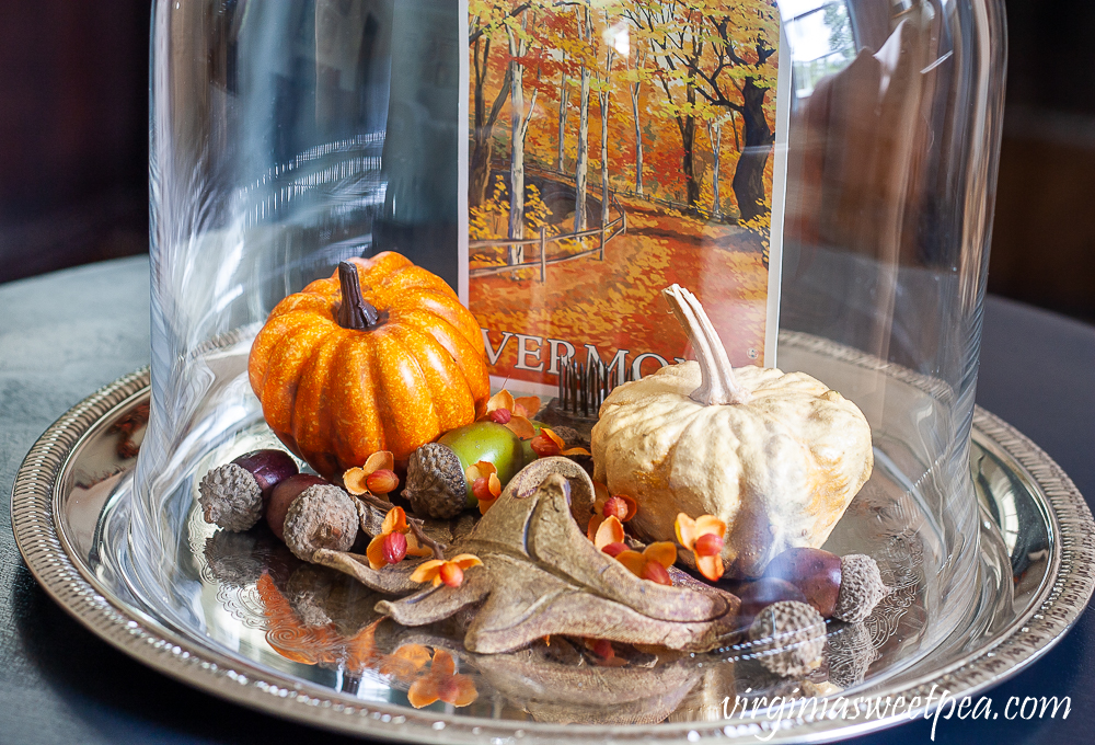 A Vermont postcard, pumpkins, acorns and a pottery leaf under a glass cloche