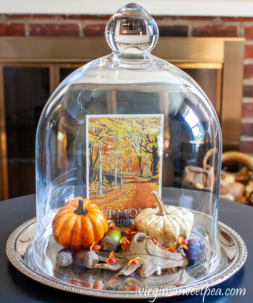 Cloche decorated for fall with a Vermont postcard, pumpkins, acorns, and a pottery leaf