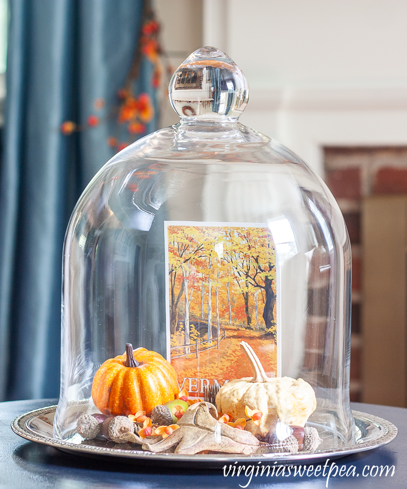 Cloche on a silver tray decorated for fall with pumpkins, a fall postcard, leaves and acorns