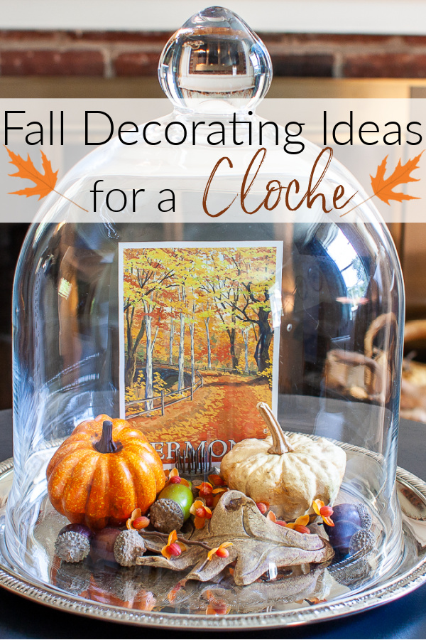 Fall Decorating Ideas for a Cloche