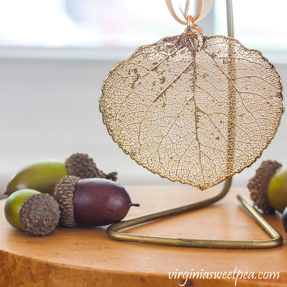 Leaf preserved with gold displayed with acorns