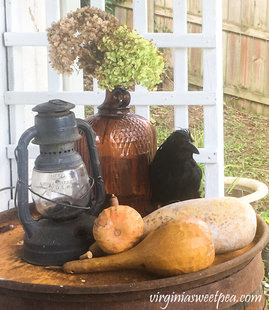 Outdoor fall display with a vintage lantern, dried gourds, a crow, and a vintage bottle filled with dried Hydrangea.