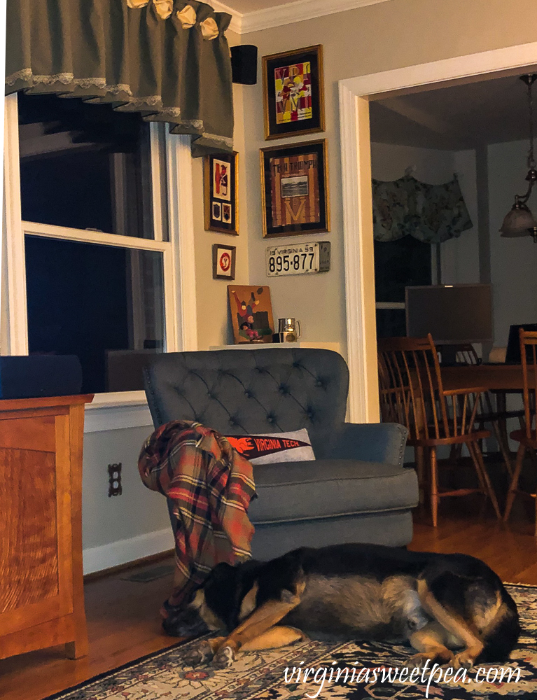 Dog sleeping at night in a family room with a corner decorated with a football theme