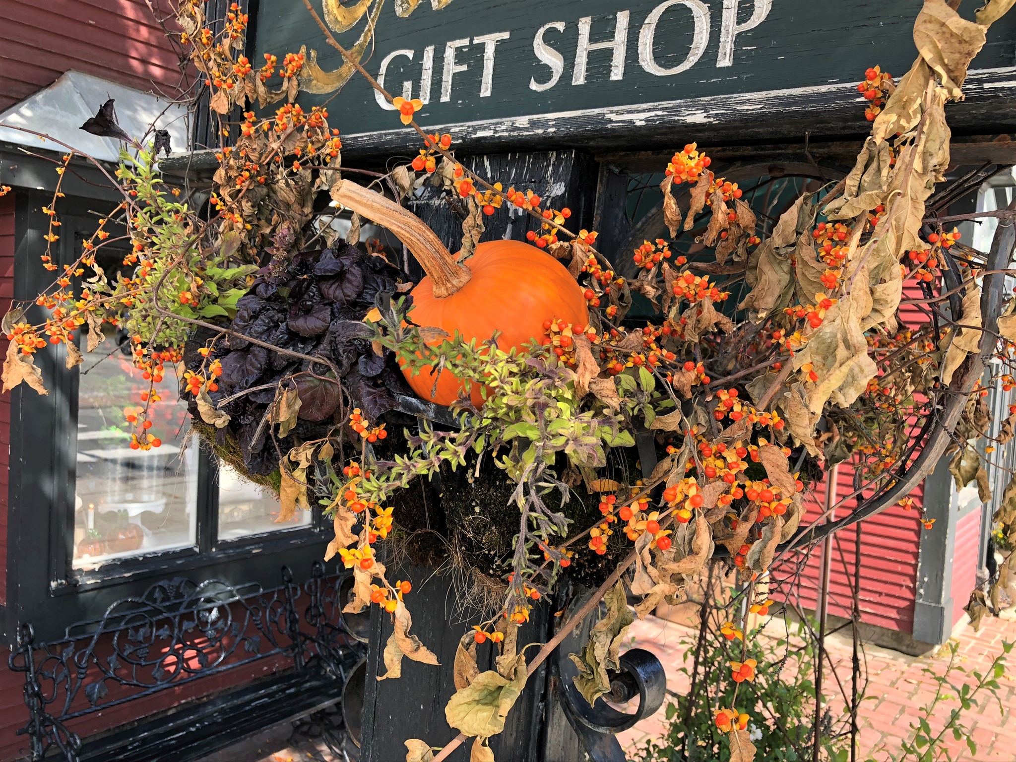 A pumpkin and bittersweet in a hanging basket under a store sign