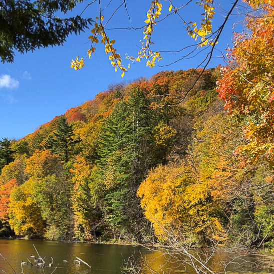 Fall foliage in Woodstock, VT