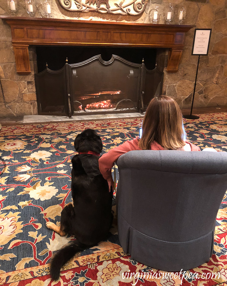 Woman and dog enjoying the fire at Woodstock Inn in Woodstock, VT