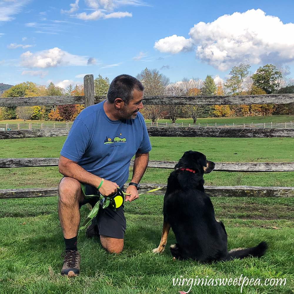 Man and dog at Billings Farm in Woodstock, Vermont