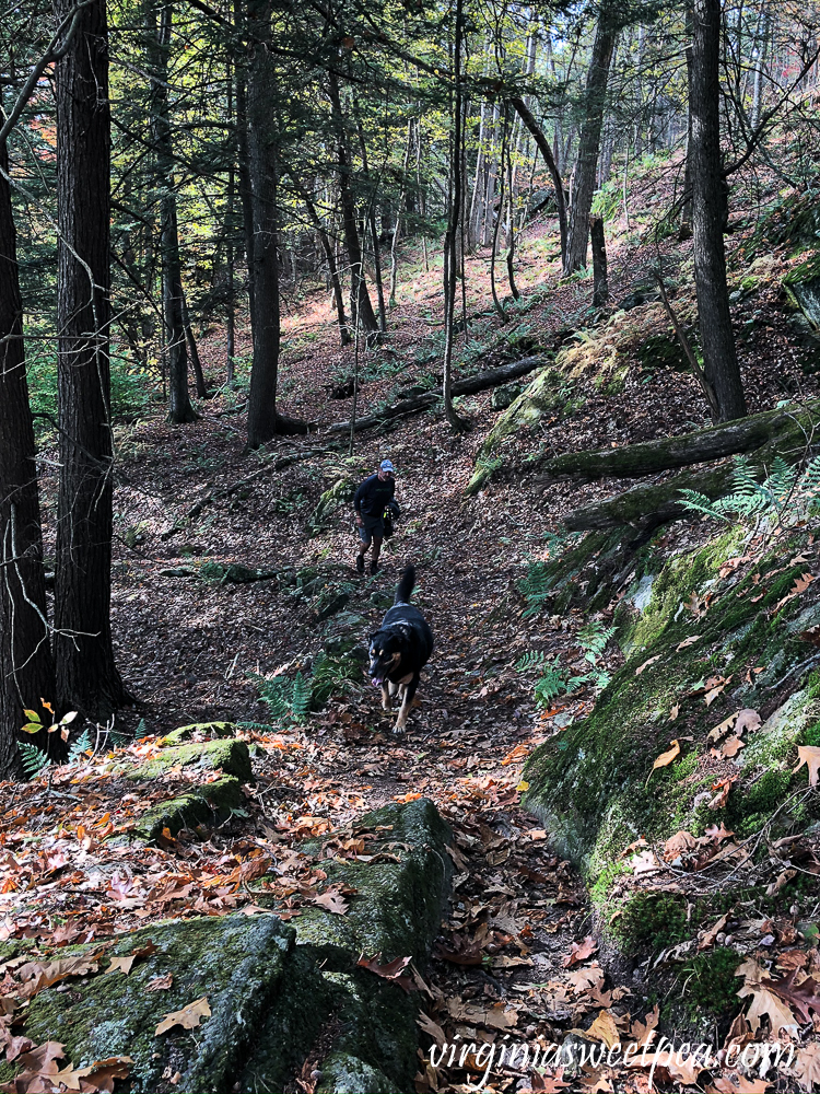 Hiking on Mount Tom in Woodstock, VT