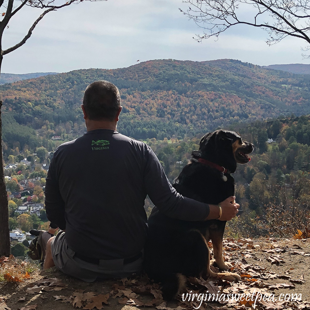 Man and dog enjoying fall foliage at the top of Mt. Tom in Woodstock, Vermont